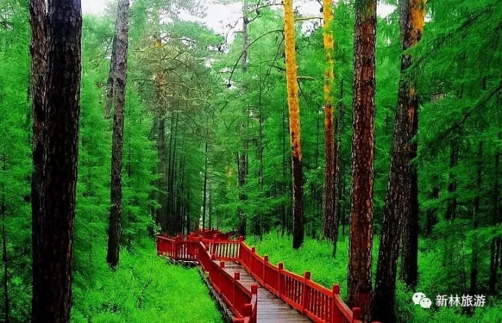 ���˰���ȫ��������Ҫ�ڵ�ġ�Ѱ��֮�á�