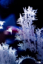 640.webp (9)_����.jpg