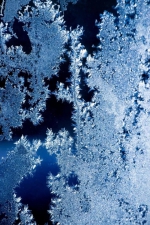 640.webp (10)_����.jpg