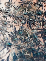 640.webp (3)_����.jpg