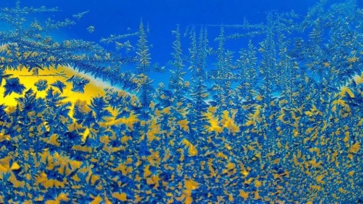 ����С������֮�λñ�����