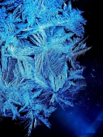 640.webp (5)_����.jpg