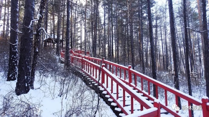 ����С������֮��ѩ����